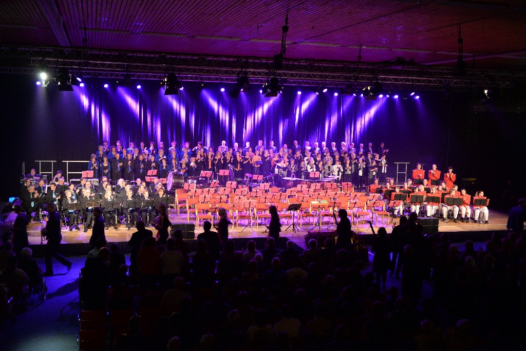 ../Images/Jubileumconcert 100 jaar Harpe Davids 016.jpg